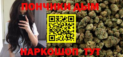 сатива Лесосибирск