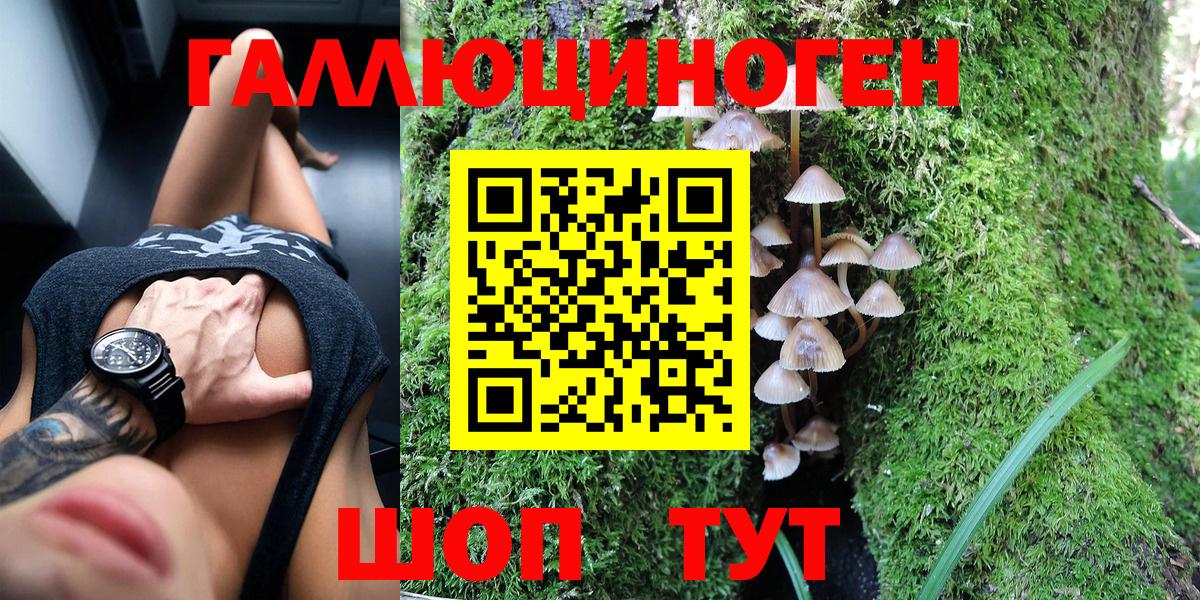 Псилоцибиновые грибы Cubensis  Вход с VPN  Выкса 